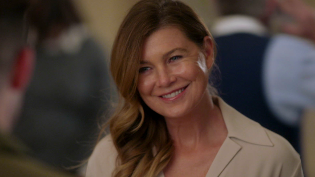 Meredith na temporada 18 de Grey's Anatomy
